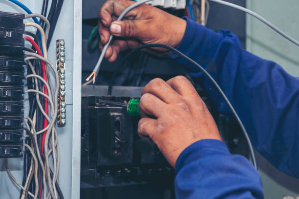 Best Electric Panel Repair  in Campton Hls, IL